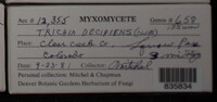 Image Associated With the Occurence
